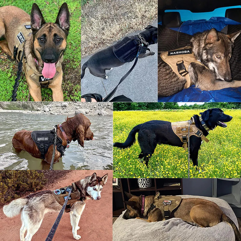 Tactical Dog Harness Leash Collar Set Large Pet German Shepherd Malinois Training Walking Vest For All Breeds Dog 1 Free Patch